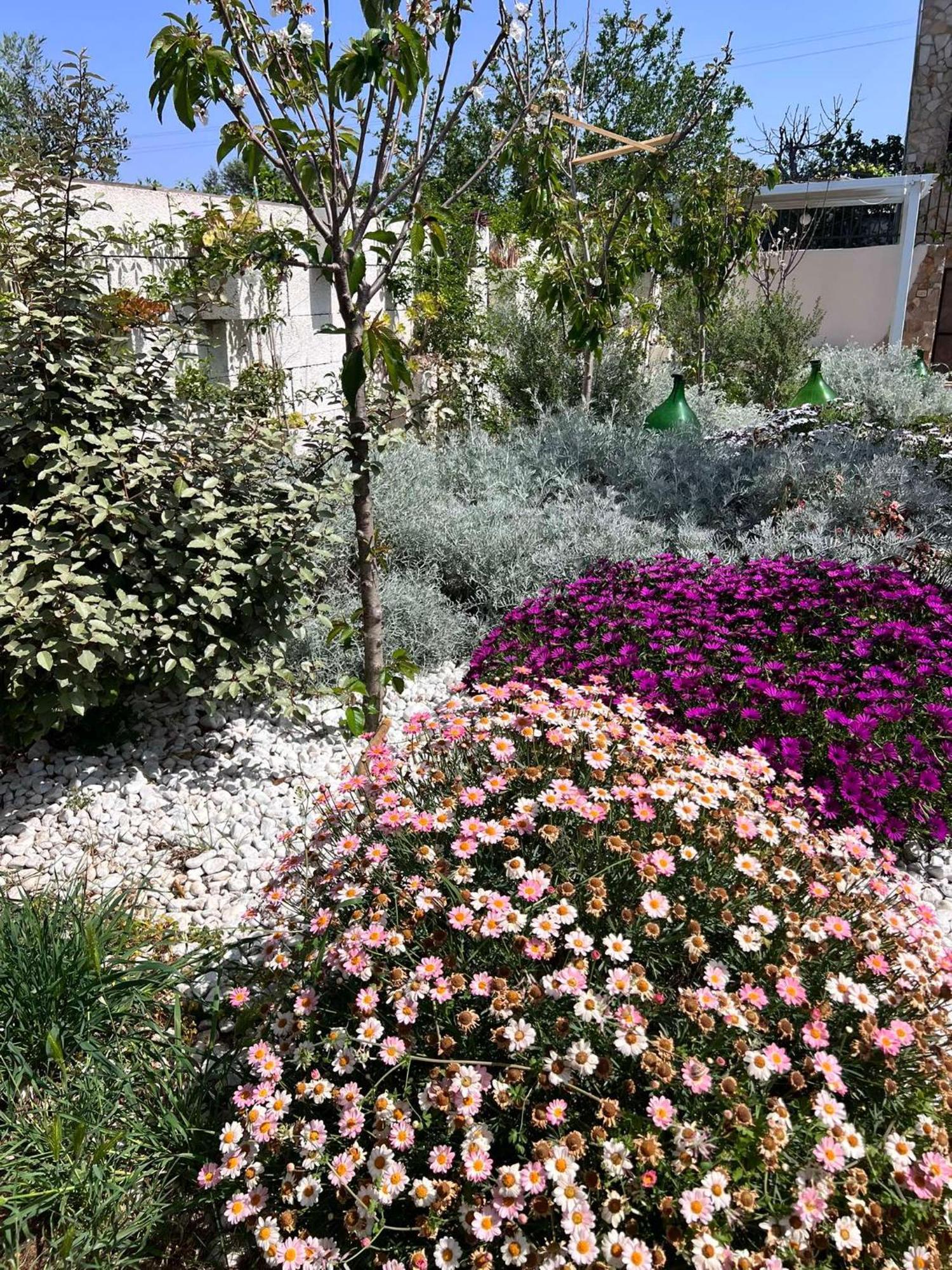 Villa Casa Vacanze Fiore 加利波利 外观 照片