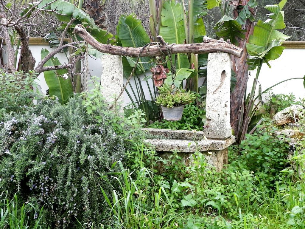 Villa Casa Vacanze Fiore 加利波利 外观 照片