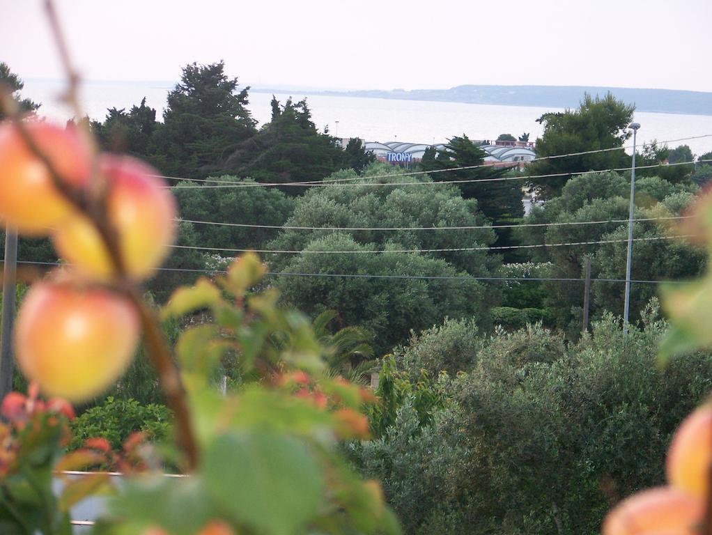 Villa Casa Vacanze Fiore 加利波利 外观 照片